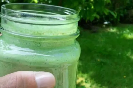 Gluten-Free Keto Skinny Green Monster Smoothie