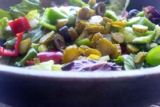 Vegan Vegetarian fennel, Peppers, Lettuce Salad