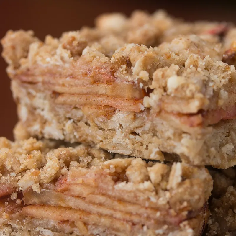 Vegetarian Dairy-Free Apple Cinnamon Oatmeal Bars