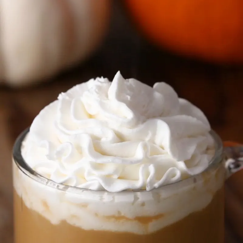 Vegan Vegetarian Pumpkin Spice Coffee