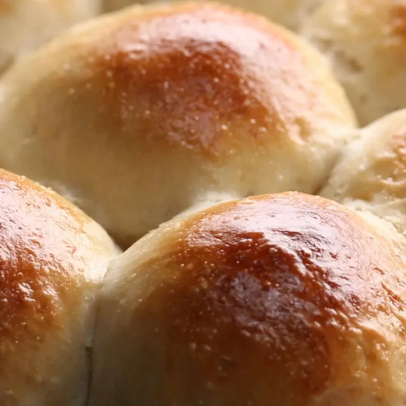 Vegetarian Dairy-Free Simple Dinner Rolls