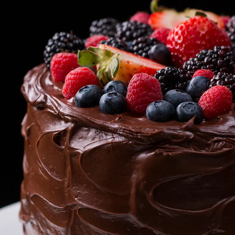 Vegan Vegetarian Fudgiest Dairy-Free Chocolate Cake