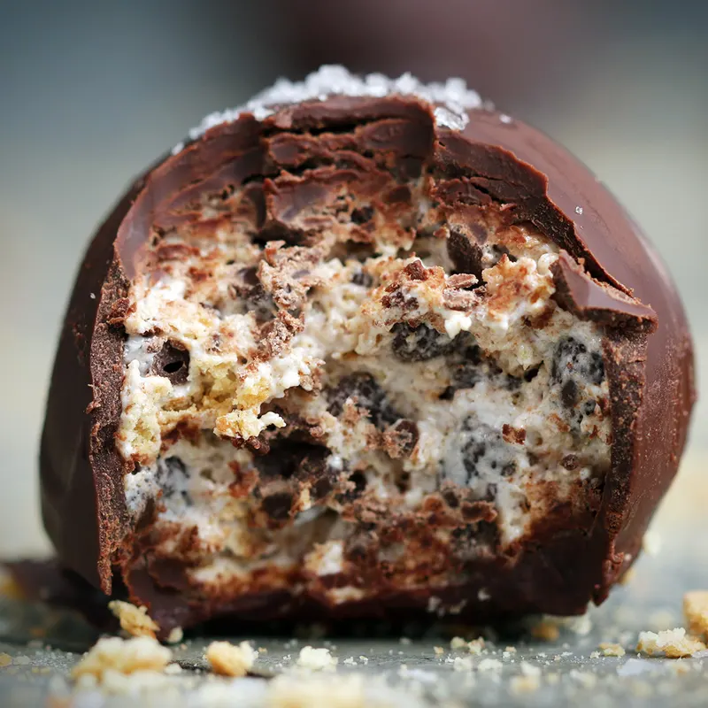 Dairy-Free Nut-Free Salted S'mores Truffles