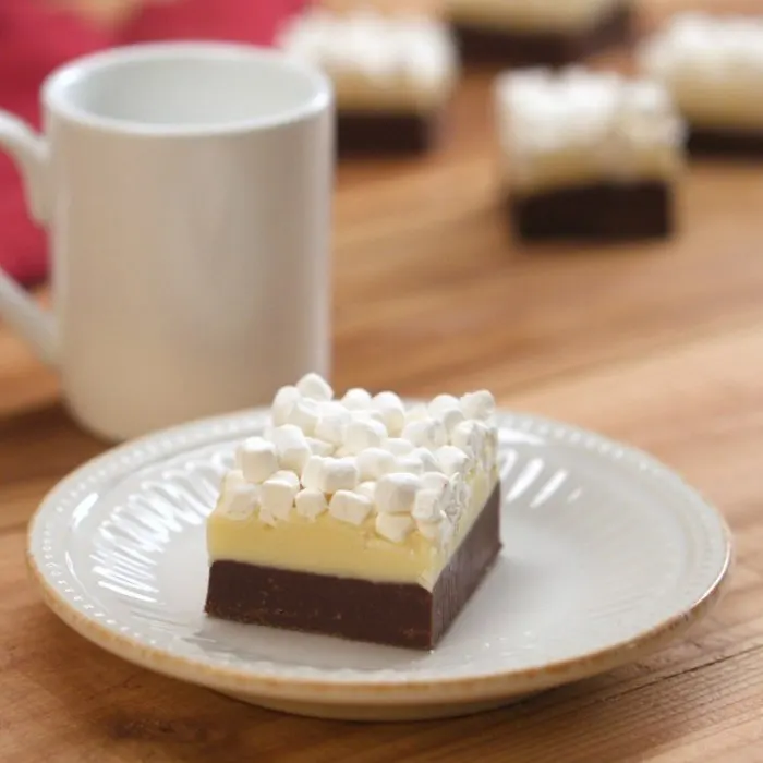 Vegetarian Gluten-Free Hot Chocolate Fudge — United States recipe