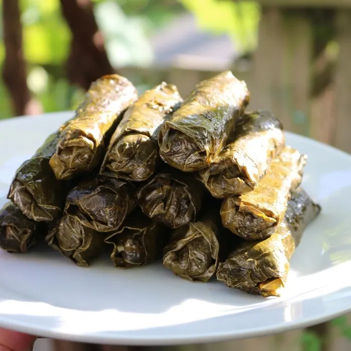 Gluten-Free Dairy-Free Stuffed Grape Leaves